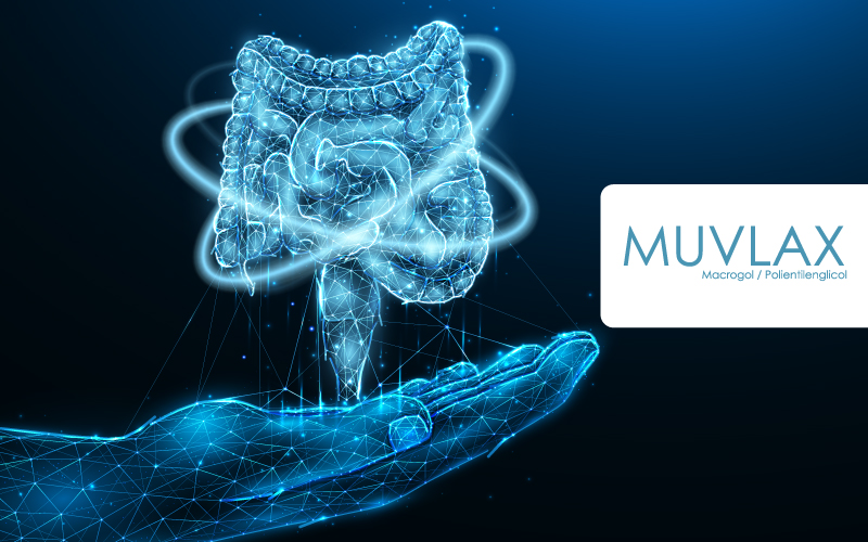 Muvlax – Sistema Digestivo: Anatomía y Funcionamiento
